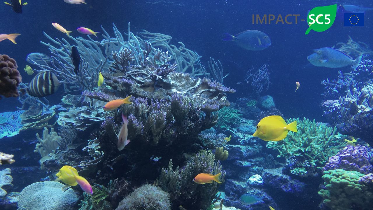 Environment, ecosystem and biodiversity